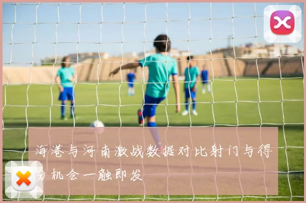 海港与河南激战数据对比射门与得分机会一触即发