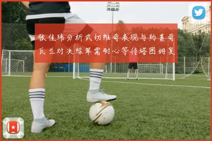 张佳玮分析武切维奇表现与约基奇瓦兰对决绿军需耐心等待塔图姆复出
