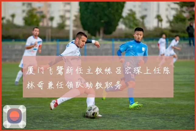厦门飞鹭新任主教练吕宏琛上任陈林奇兼任领队助教职务