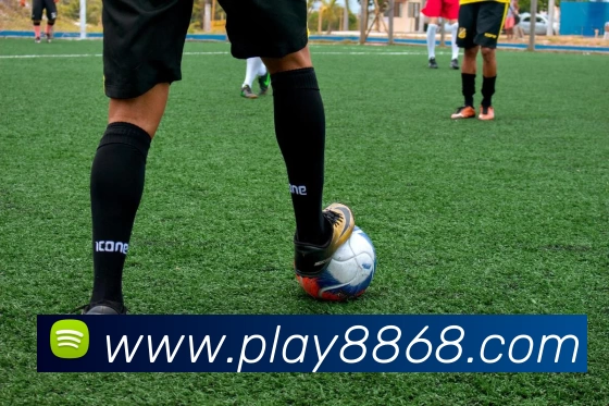 8868体育官网平台生态图